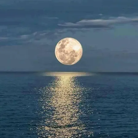 House Private Heated Pool Amazing View On Golf Ocean 3 Bedrooms 3 Bathrooms 6 To 8 Adults 3-17 Years Old Children Being Considered Adults And In Addition 0-2 Years Old Children Are Welcome For Free *