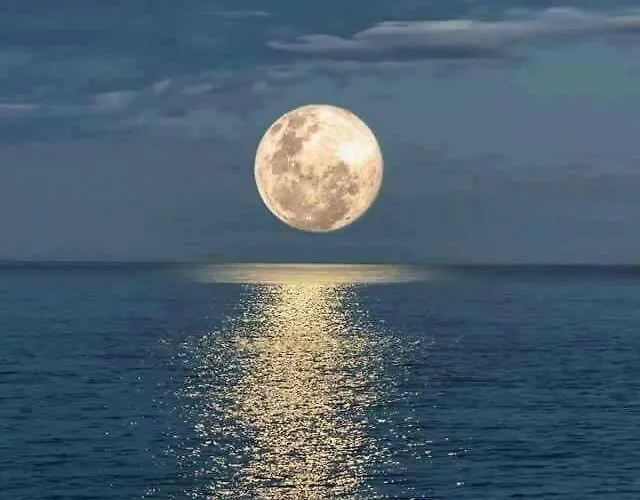 House Private Heated Pool Amazing View On Golf Ocean 3 Bedrooms 3 Bathrooms 6 To 8 Adults 3-17 Years Old Children Being Considered Adults And In Addition 0-2 Years Old Children Are Welcome For Free *